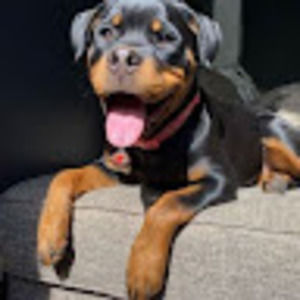 Meet your Posher, John